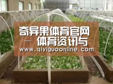 环境展示五