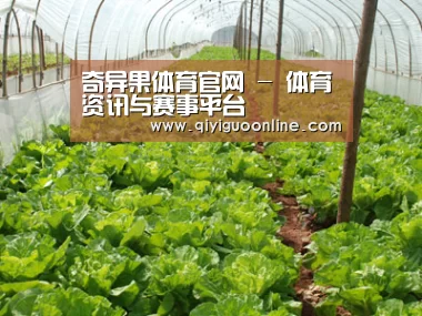 种植基地五