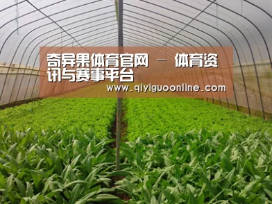 种植基地四