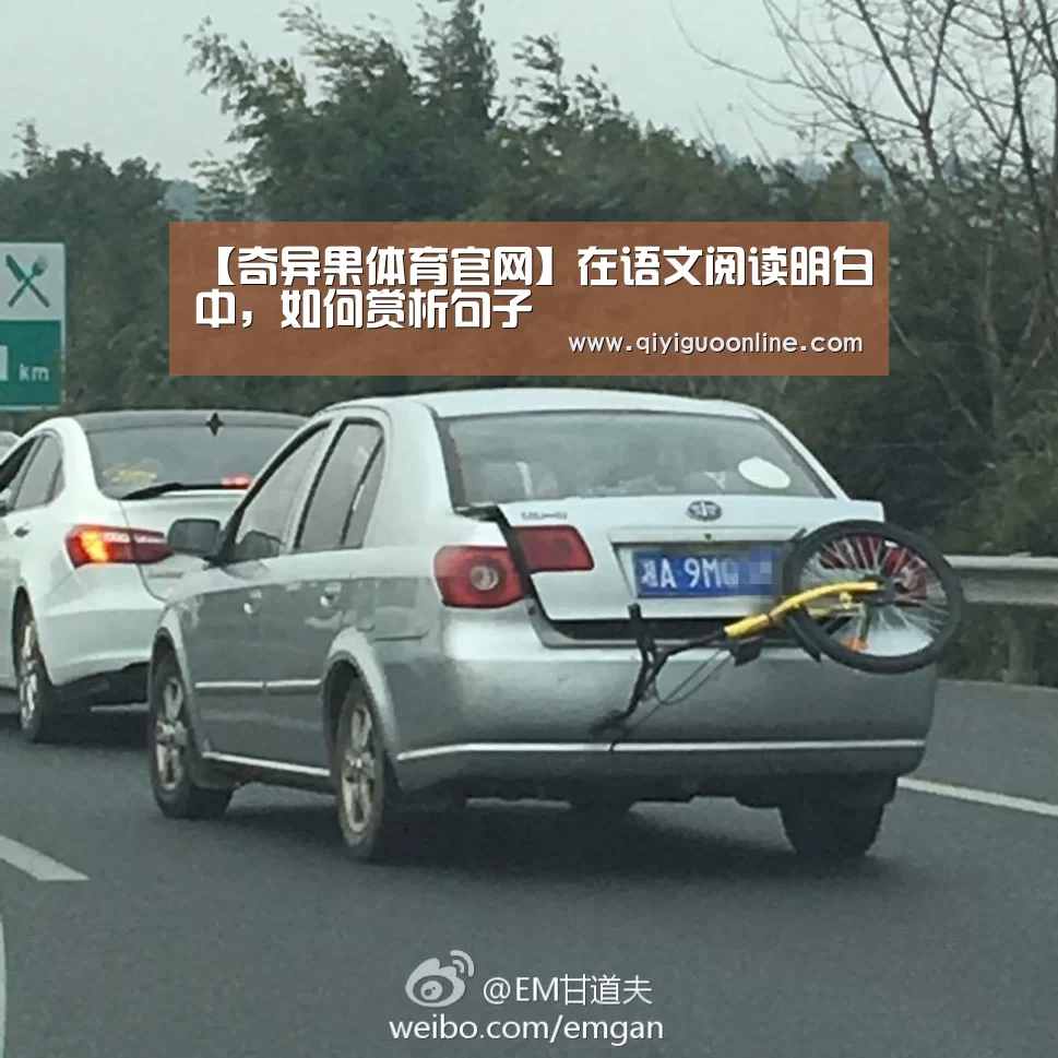 奇异果体育